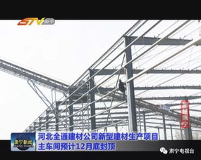 河北全通建材公司新型建材生产项目 主车间预计12月底封顶